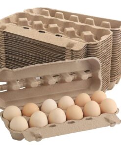 Huevos Sol de Campo - Docena