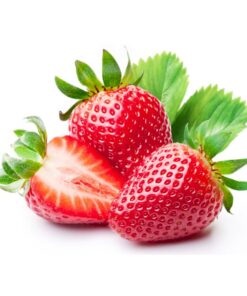 Fresas lb/500 g