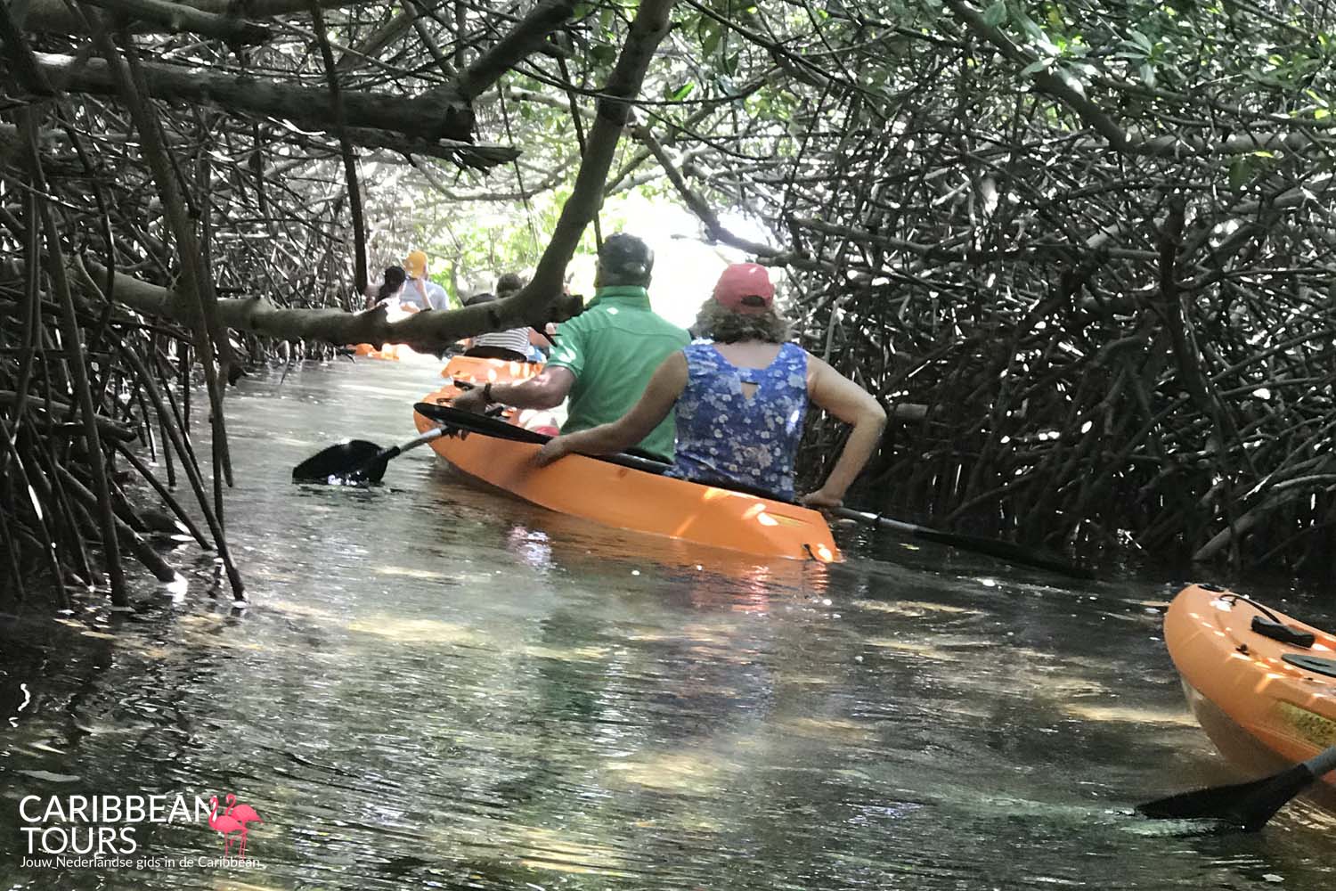 MANGLARES TOURS - Imagen 3